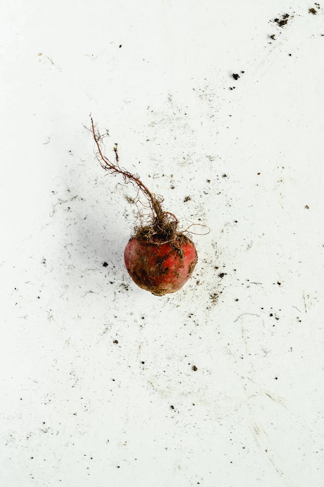 Derek the Turnip portrait